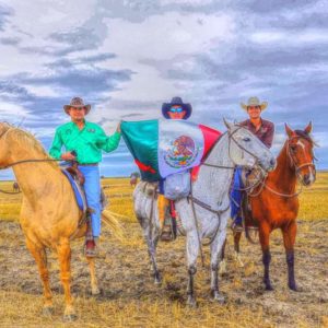 Agriculture and Food Production