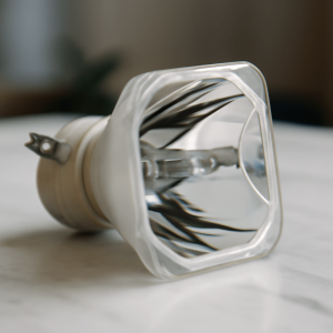 Projector Lamp
